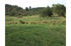 Property photo 9 - 72 Acres offered in 6 Tracts